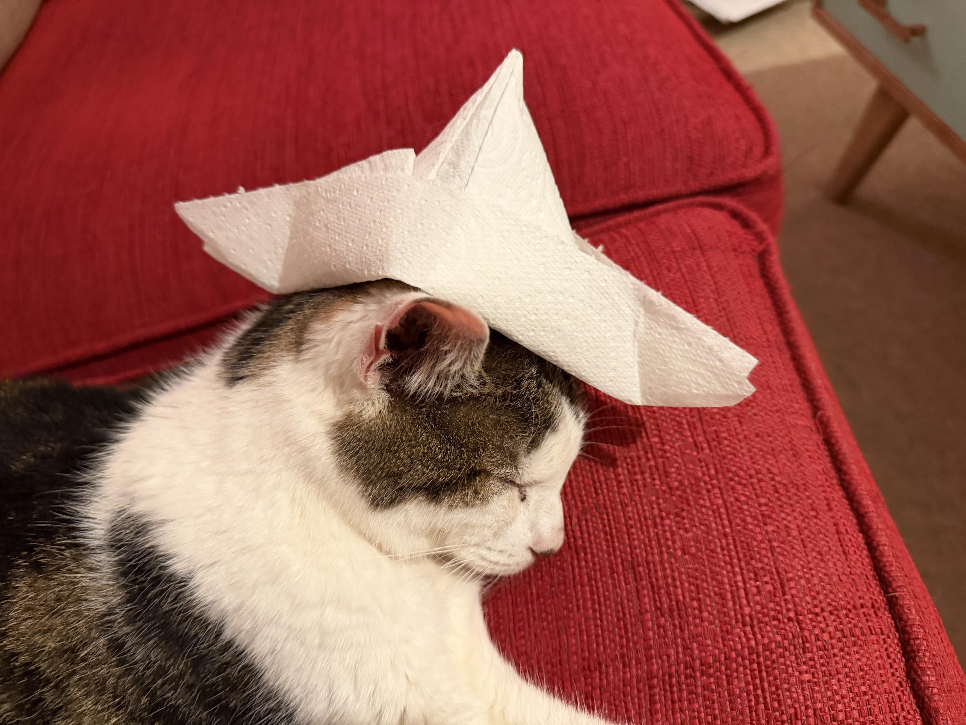 A white and brown tabby cat sleeps peacefully while wearing a paper boat made from a paper towel on its head, resting on a bright red upholstered sofa.